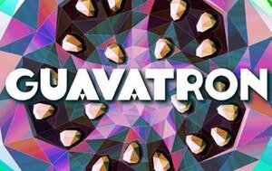 Guavatron Electronic Rock Jam Band logo